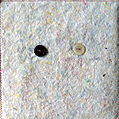 Krach021