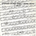 STEPHANEICHERspieltnoiseboys_h