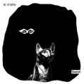chat-yeux2